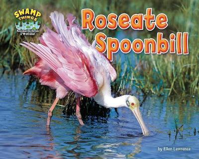 Book cover for Roseate Spoonbill