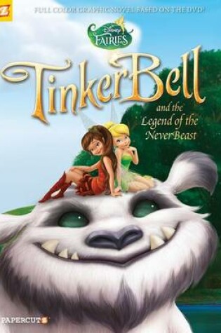 Cover of Disney Fairies Graphic Novel #17