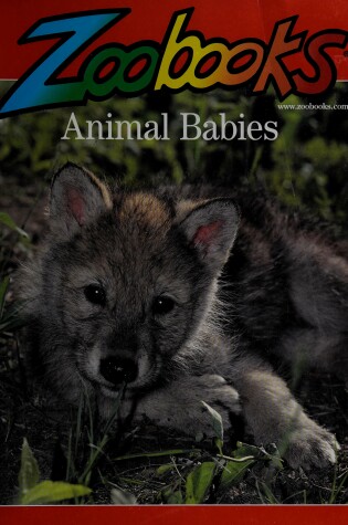 Cover of Animal Babies