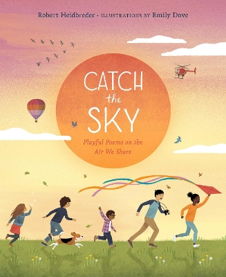 Cover of Catch the Sky