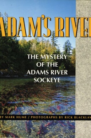 Cover of Adam's River