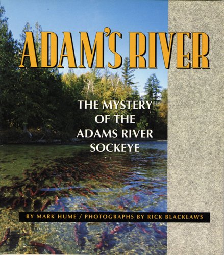 Book cover for Adam's River