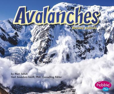 Book cover for Earth in Action Avalanches