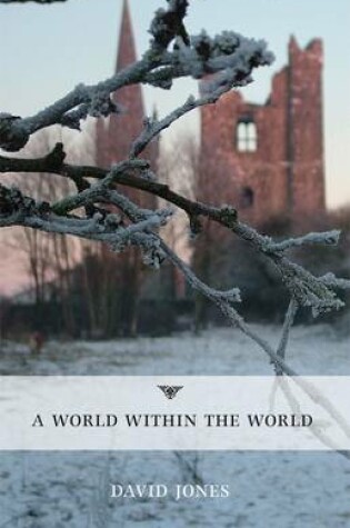 Cover of A World within the World