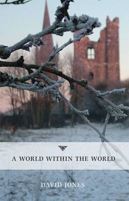 Book cover for A World within the World