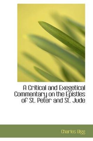 Cover of A Critical and Exegetical Commentary on the Epistles of St. Peter and St. Jude