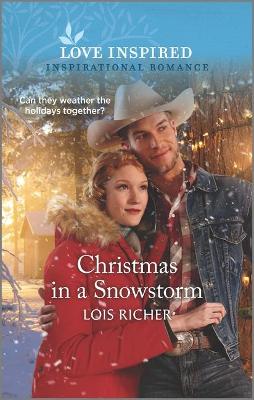 Book cover for Christmas in a Snowstorm