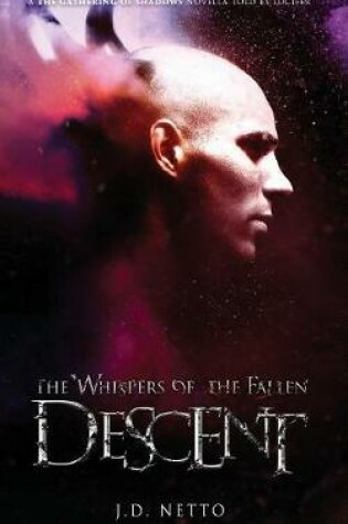 Cover of Descent