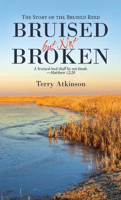 Book cover for Bruised but Not Broken