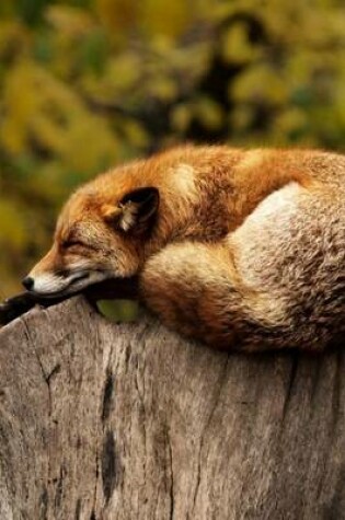 Cover of A Fox Resting on Top of a Log