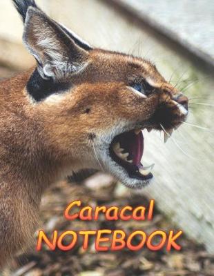 Book cover for Caracal NOTEBOOK