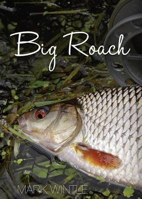 Book cover for Big Roach