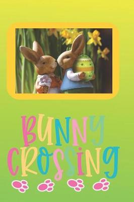 Book cover for Bunny Crossing