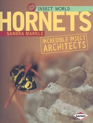 Book cover for Hornets