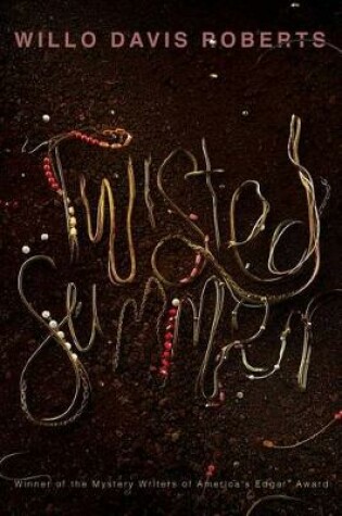 Cover of Twisted Summer