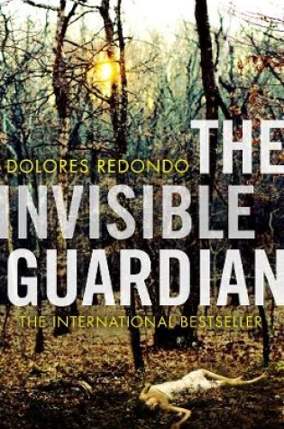 Cover of The Invisible Guardian