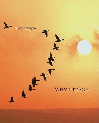 Book cover for Why I Teach