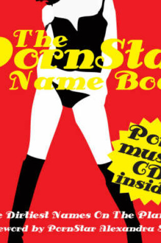 Cover of The Pornstar Name Book