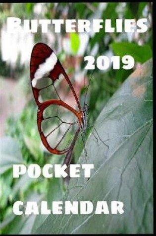 Cover of Butterflies 2019 Pocket Calendar