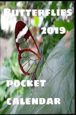 Book cover for Butterflies 2019 Pocket Calendar