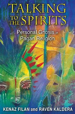 Book cover for Talking to the Spirits