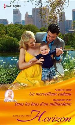 Book cover for Un Merveilleux Cadeau - Dans Les Bras D'Un Milliardaire
