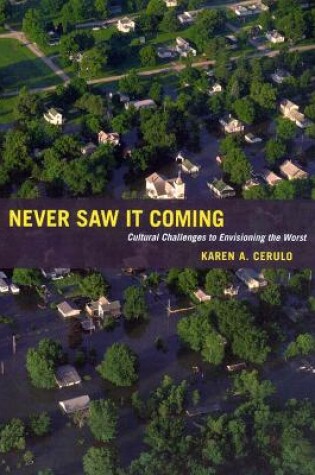 Cover of Never Saw It Coming