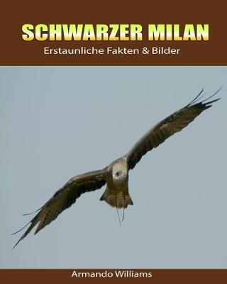 Book cover for Schwarzer Milan