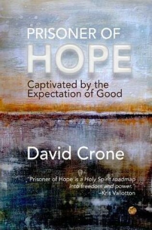 Cover of Prisoner of Hope