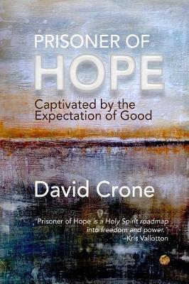 Book cover for Prisoner of Hope