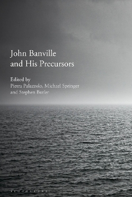 Cover of John Banville and His Precursors