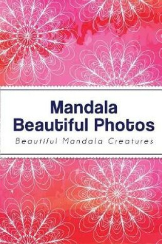 Cover of Password Mandala Beautiful Photos