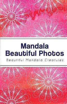 Book cover for Password Mandala Beautiful Photos