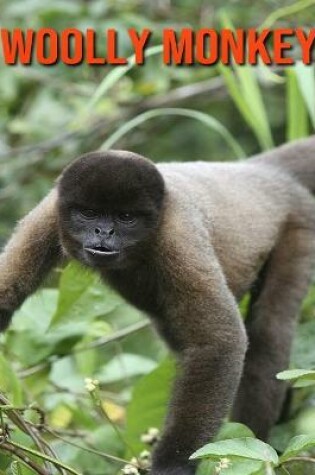 Cover of Woolly Monkey
