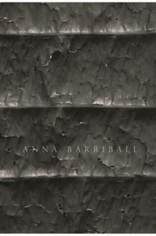 Cover of Anna Barriball