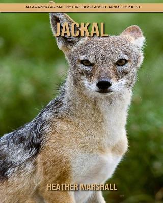 Book cover for Jackal