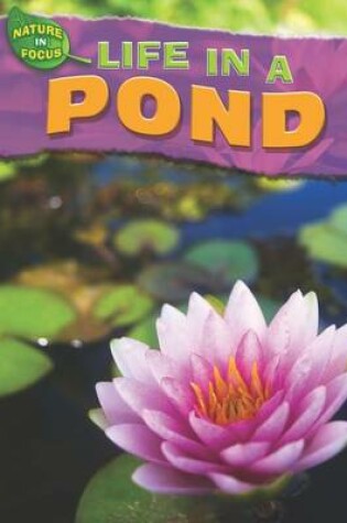 Cover of Life in a Pond