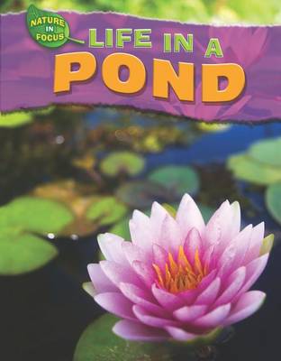 Cover of Life in a Pond