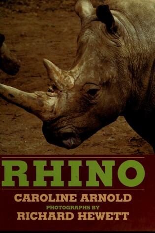 Cover of Rhino