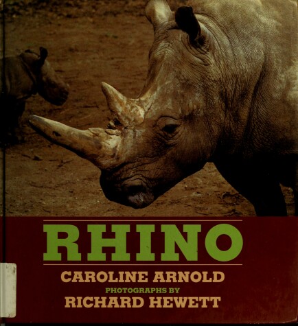 Book cover for Rhino