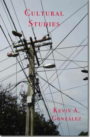 Cover of Cultural Studies