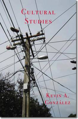 Book cover for Cultural Studies