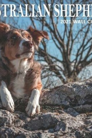 Cover of Australian Shepherd 2021 Wall Calendar