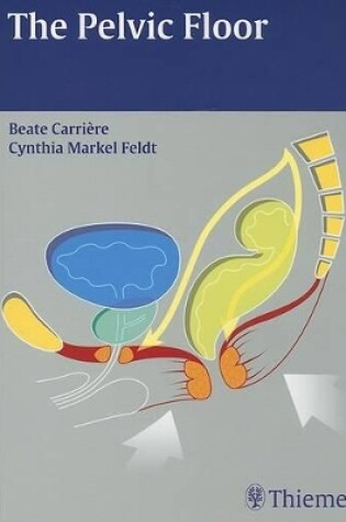 Cover of The Pelvic Floor