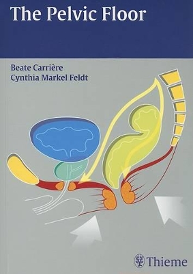 Book cover for The Pelvic Floor