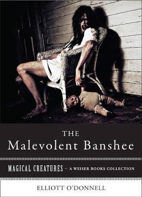 Book cover for Malevolent Banshee