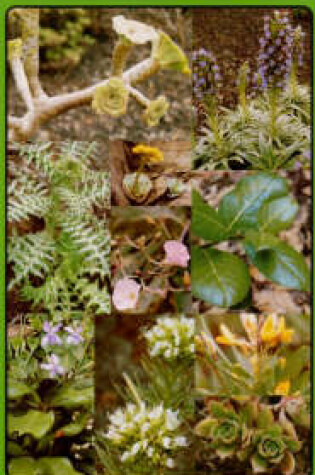 Cover of Plants and Flowers of La Gomera