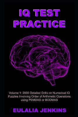 Book cover for IQ Test Practice Volume 1