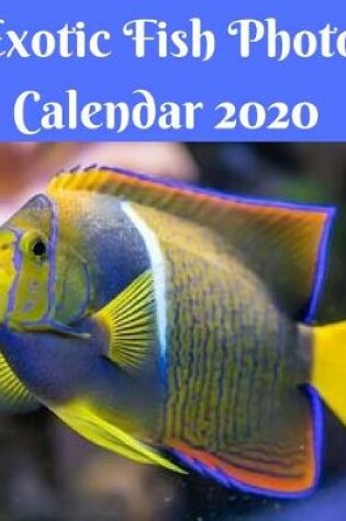 Cover of Exotic Fish Photo Calendar 2020