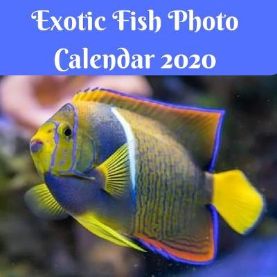 Book cover for Exotic Fish Photo Calendar 2020